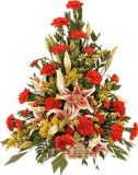 北林鲜花速递